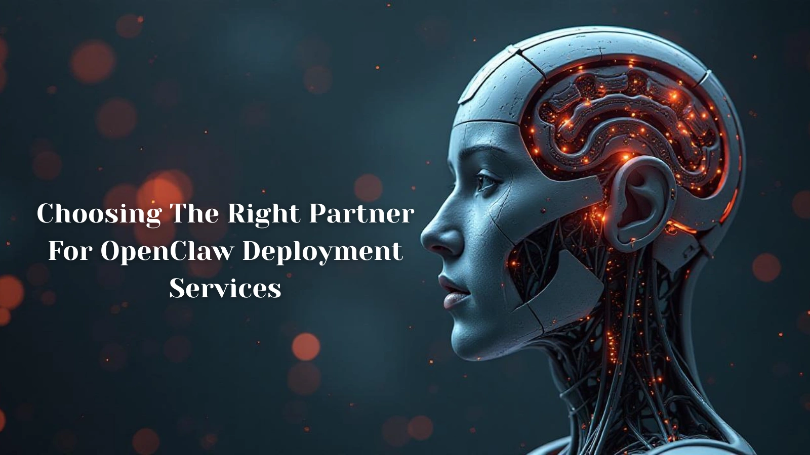 openclaw-deployment-services 